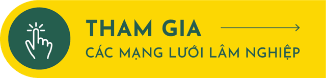 Tham gia các mạng lưới lâm nghiệp