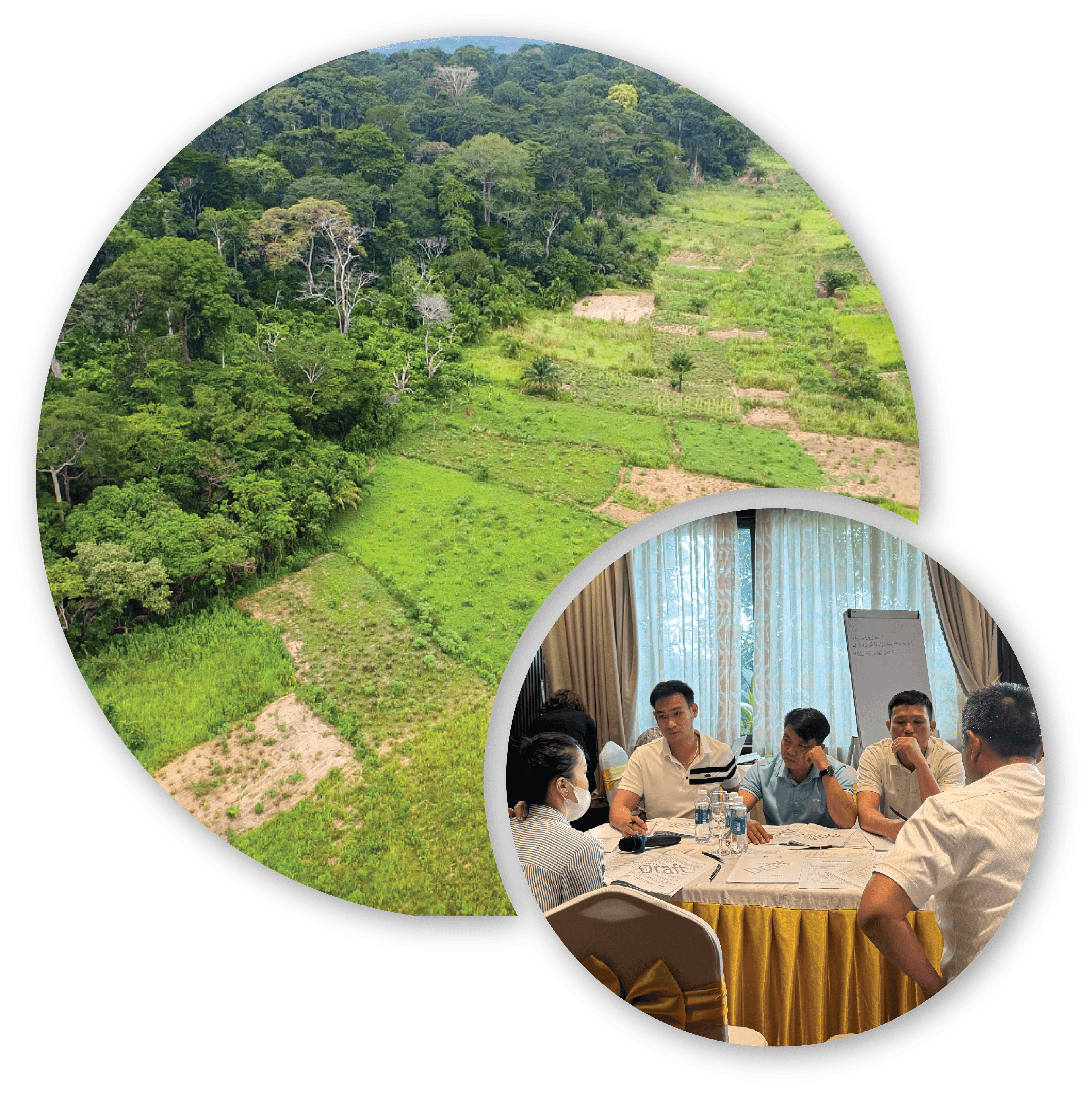 Aerial view of forest and meeting room