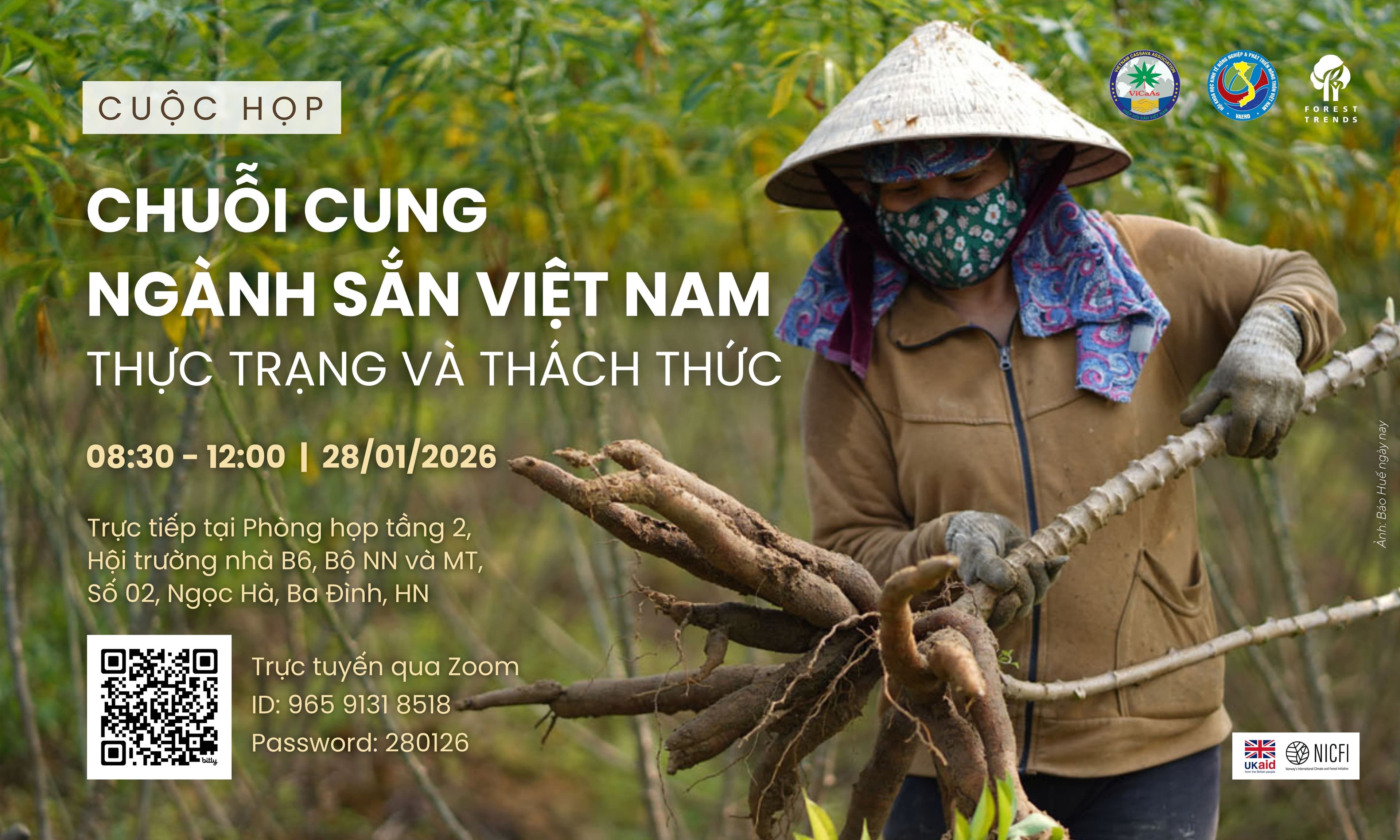 Chuỗi cung ngành sắn Việt Nam: Thực trạng và thách thức