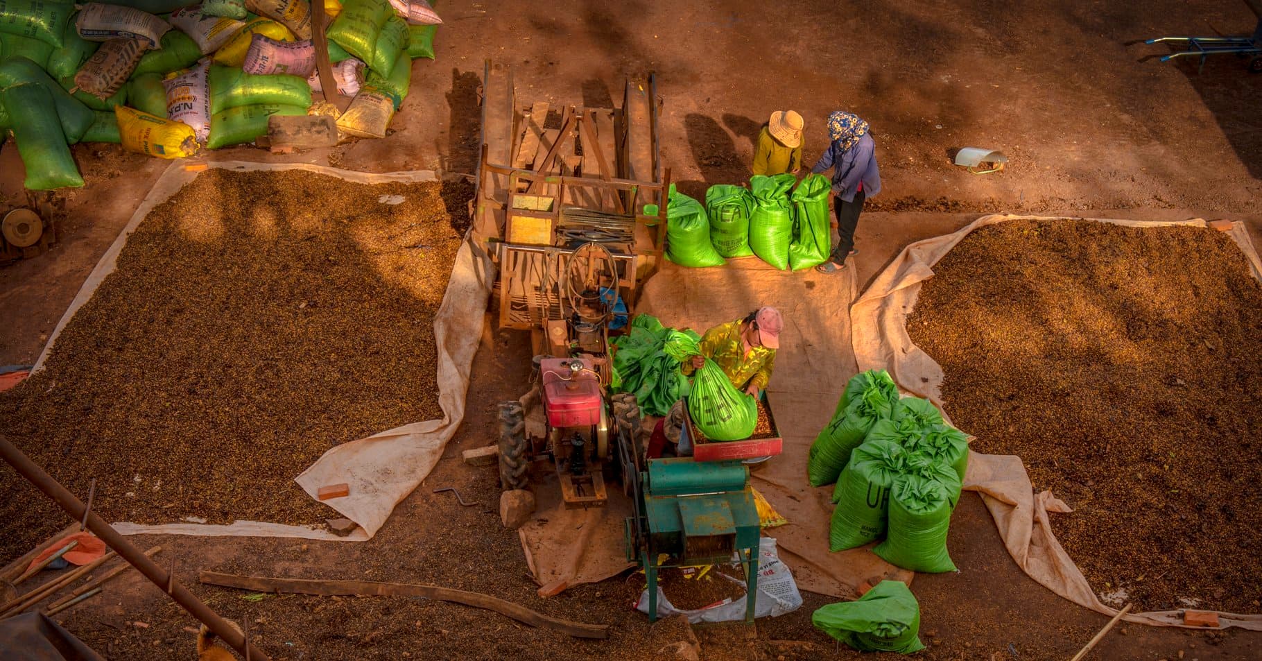 Lĩnh vực khác