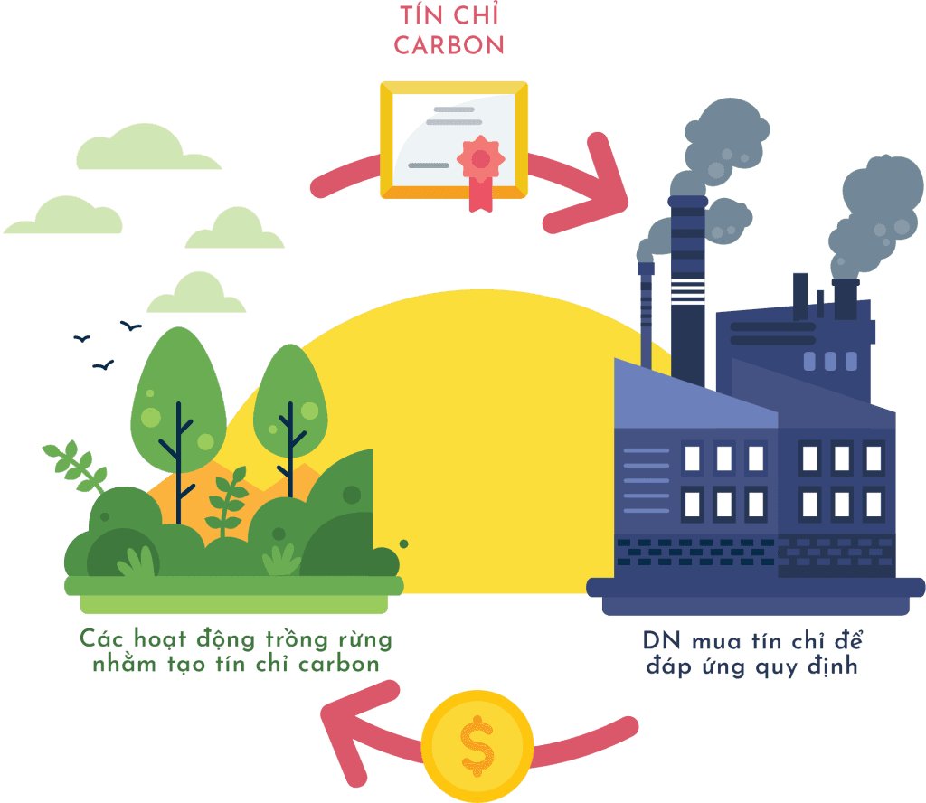 Tín chỉ carbon - cây xanh, mặt trời, nhà máy phát thải