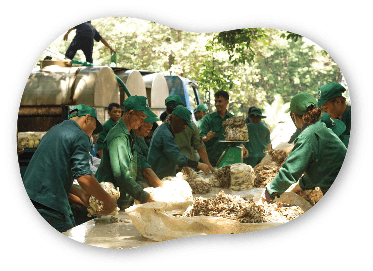 Cơ chế vận hành