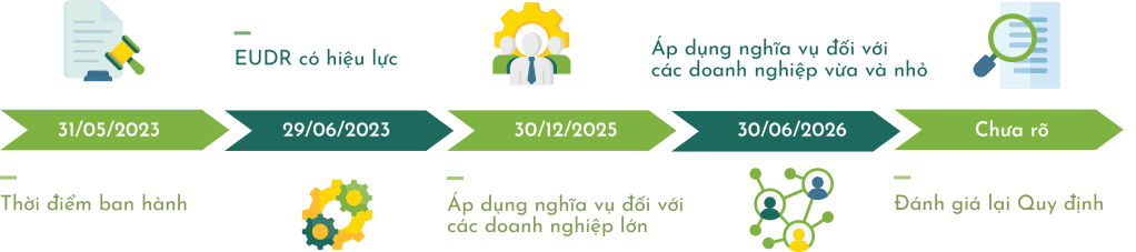 Biểu đồ thời gian các mốc quan trọng liên quan đến EUDR