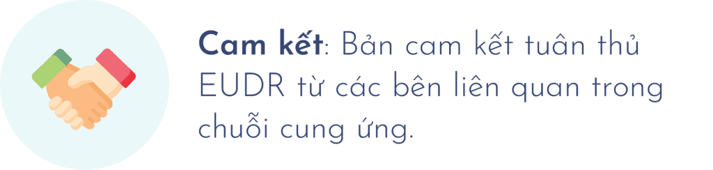 Cam kết tuân thủ EUDR