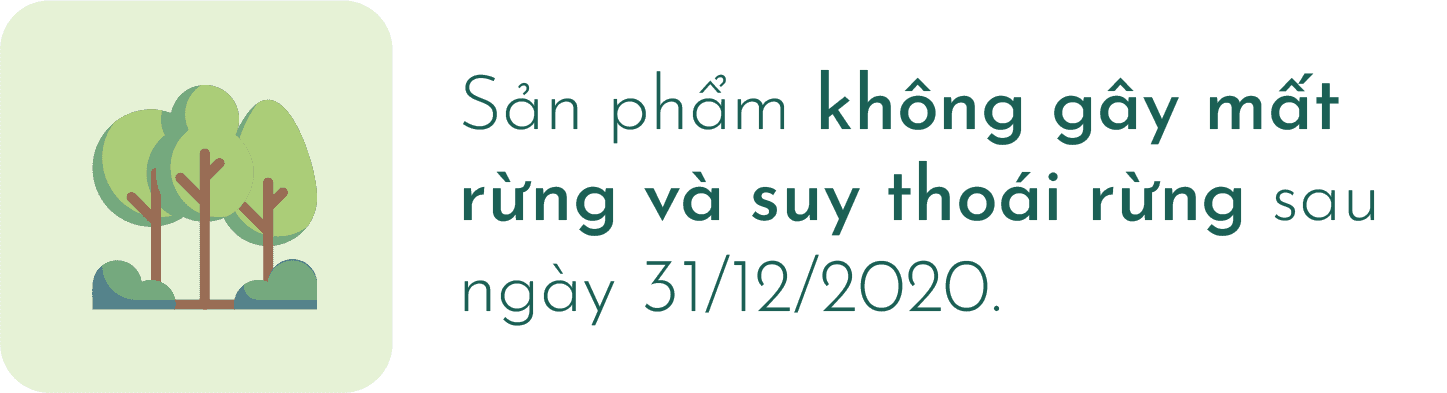 Sản phẩm không gây mất rừng và suy thoái rừng sau ngày 31/12/2020