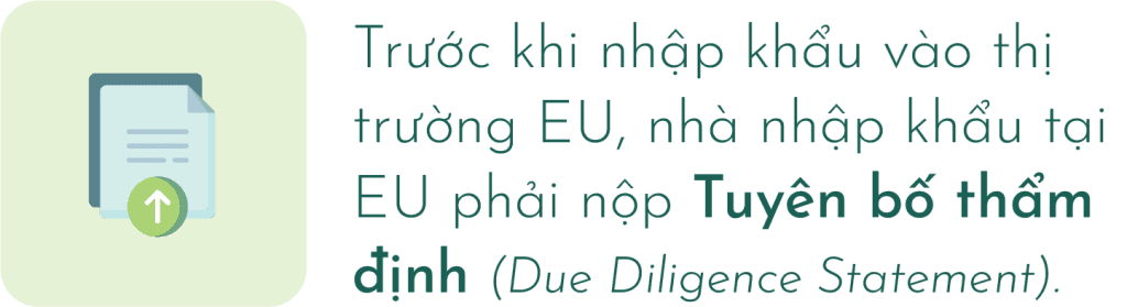 Yêu cầu nộp Tuyên bố thẩm định trước khi nhập khẩu vào thị trường EU