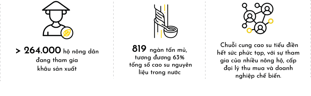 Biểu đồ thông tin về ngành cao su tại Việt Nam