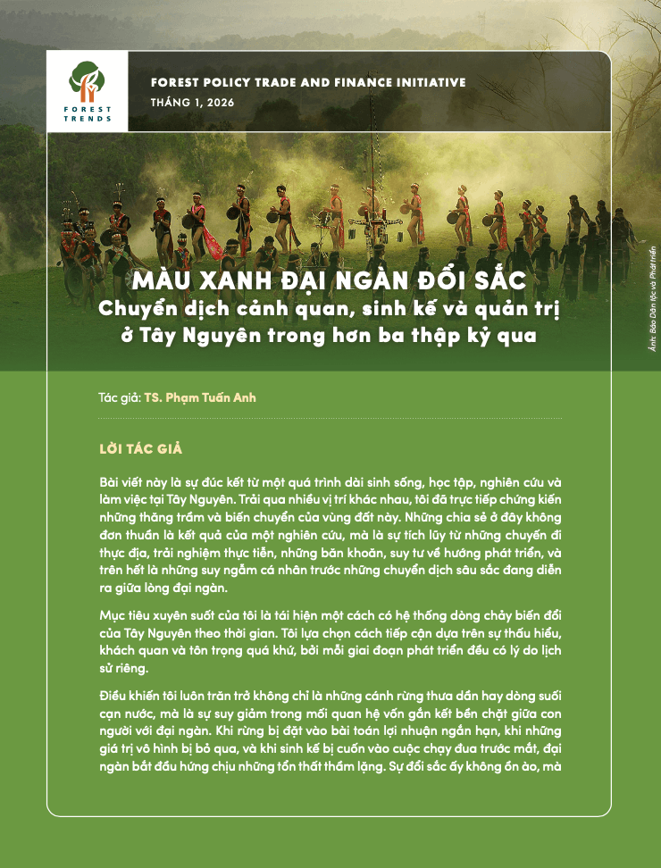 Màu xanh đại ngàn đổi sắc: Chuyển dịch cảnh quan, sinh kế và quản trị ở Tây Nguyên trong hơn ba thập kỷ qua