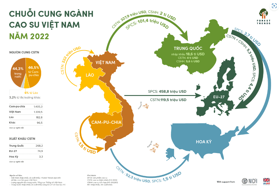 Infographic chuỗi cung ngành cao su năm 2022