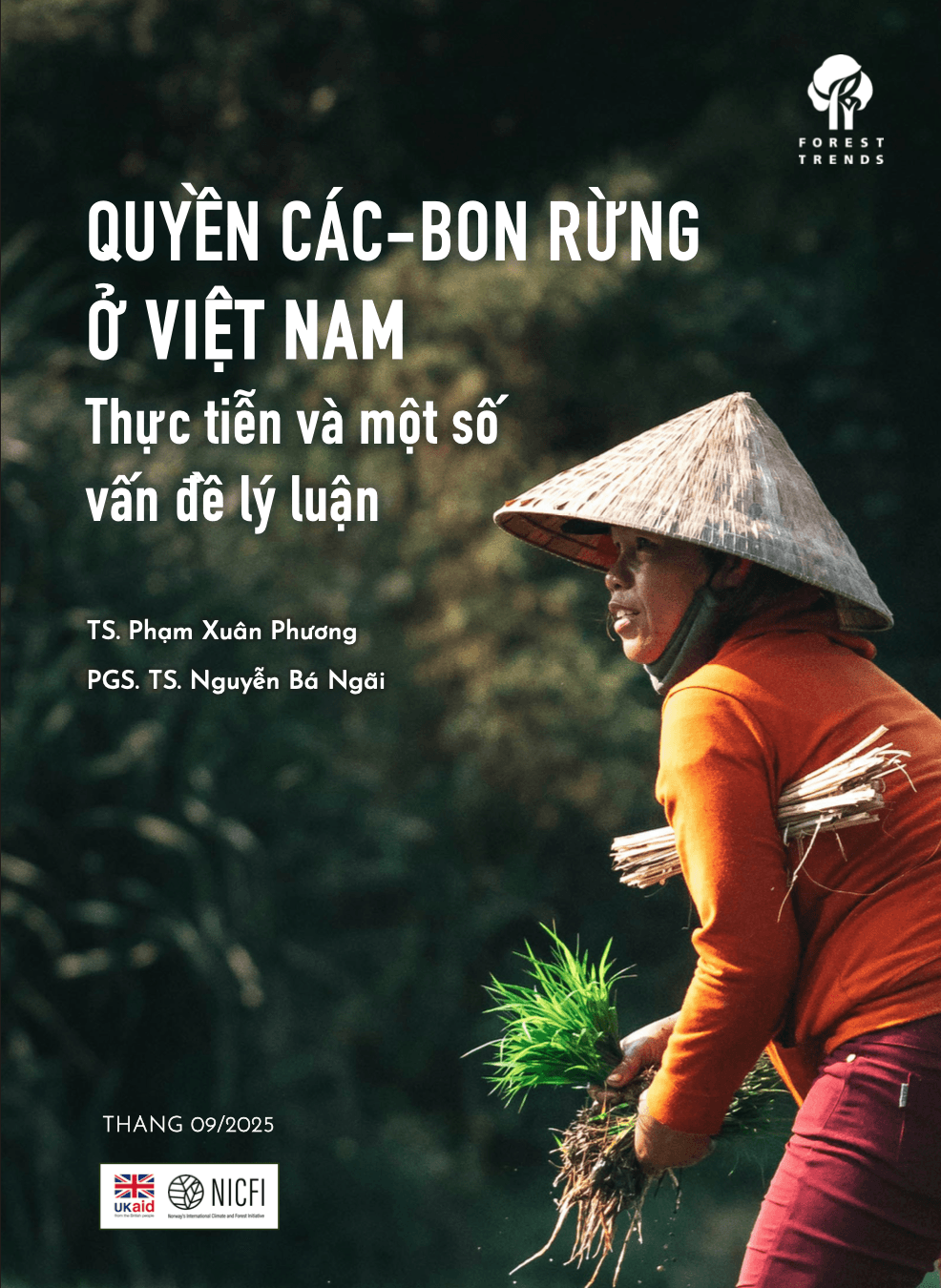Quyền các-bon rừng ở Việt Nam: Thực tiễn và một số vấn đề lý luận