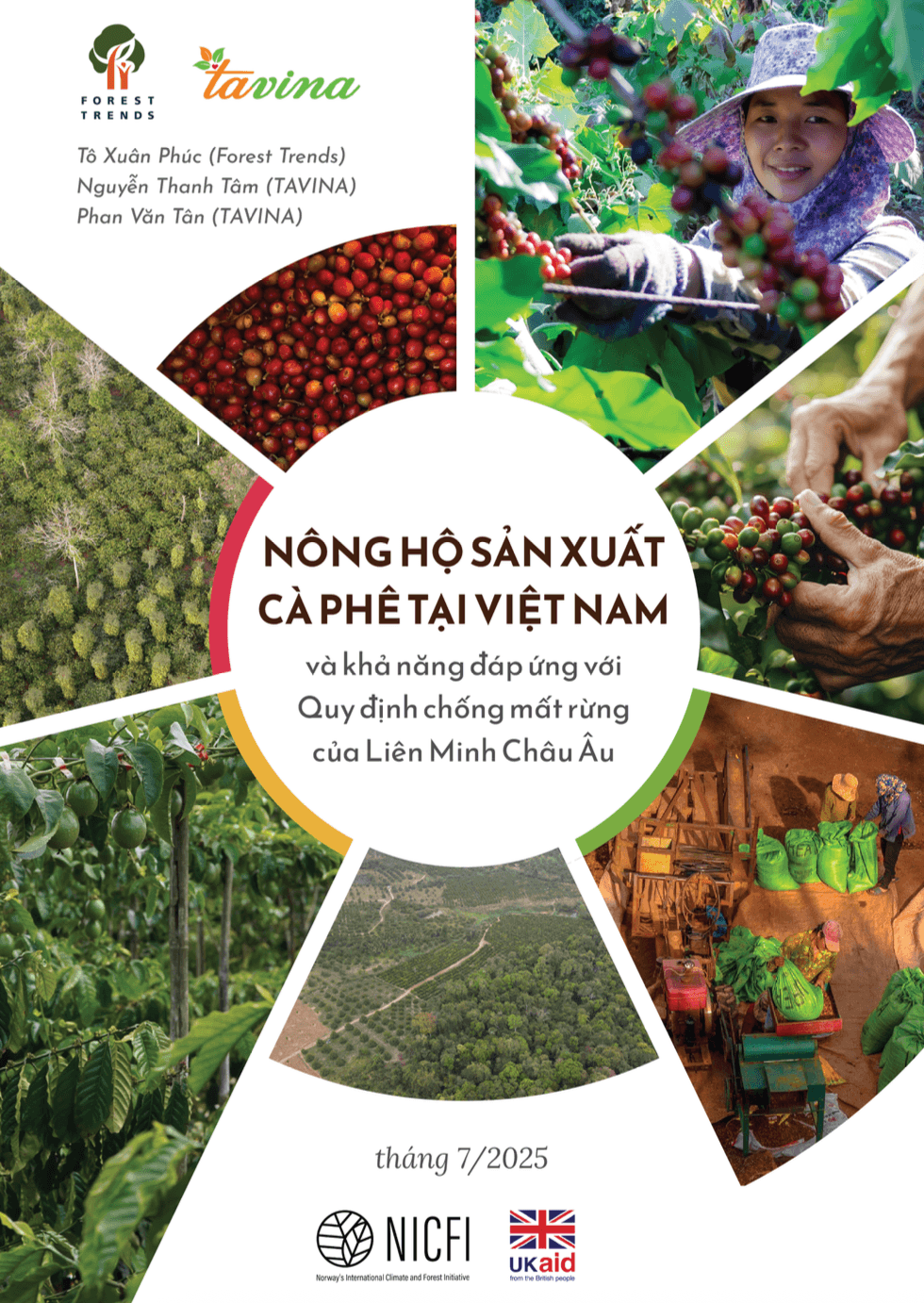 Nông hộ sản xuất cà phê tại Việt Nam và khả năng đáp ứng EUDR