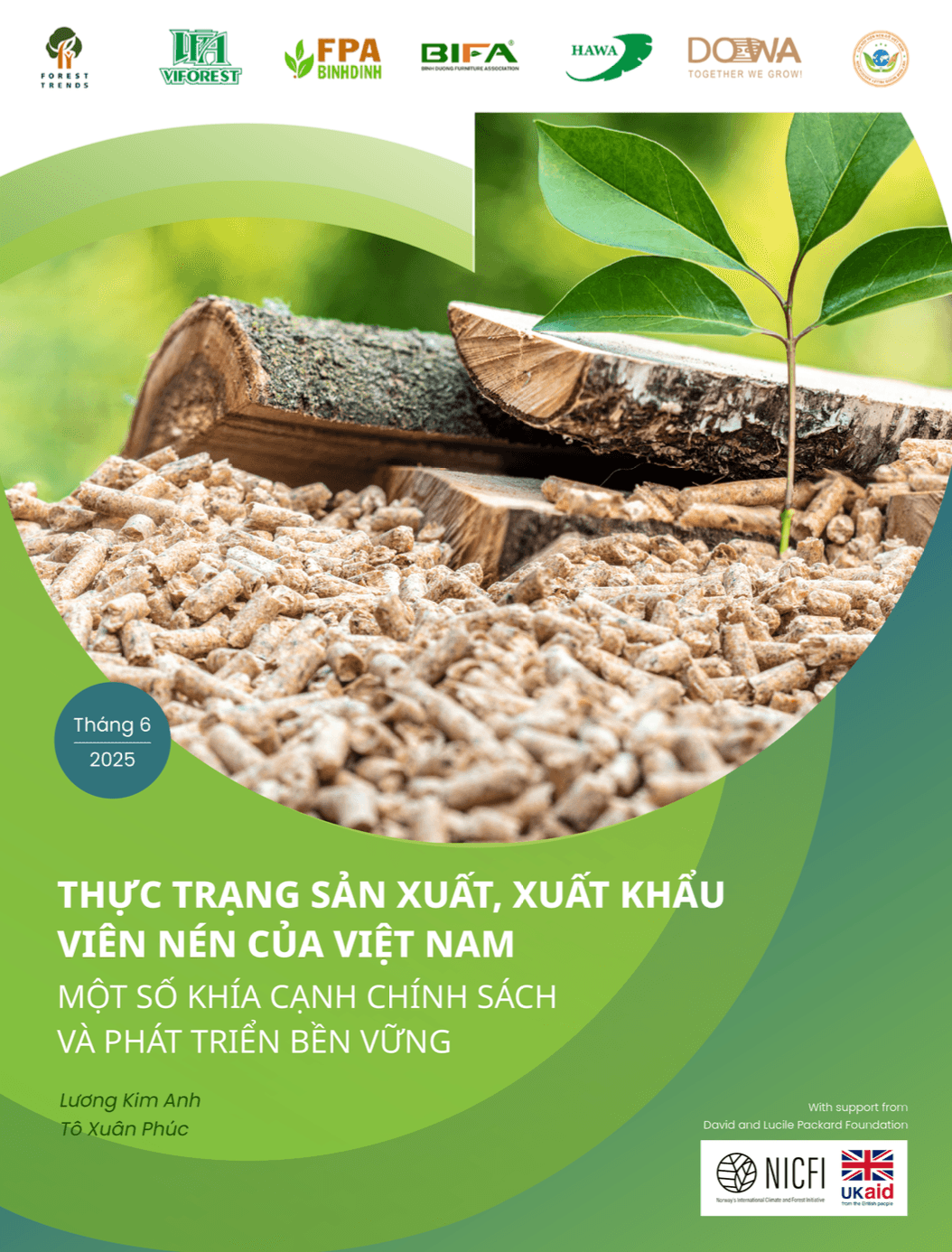Thực trạng sản xuất, xuất khẩu viên nén của Việt Nam: Một số khía cạnh chính sách và phát triển bền vững