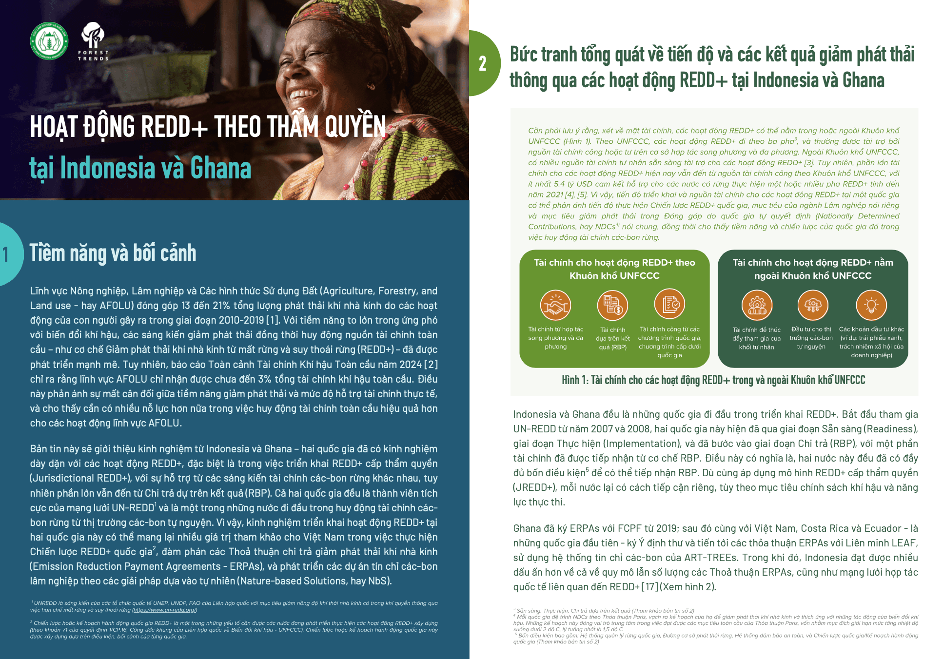 Hoạt động REDD+ theo thẩm quyền tại Indonesia và Ghana