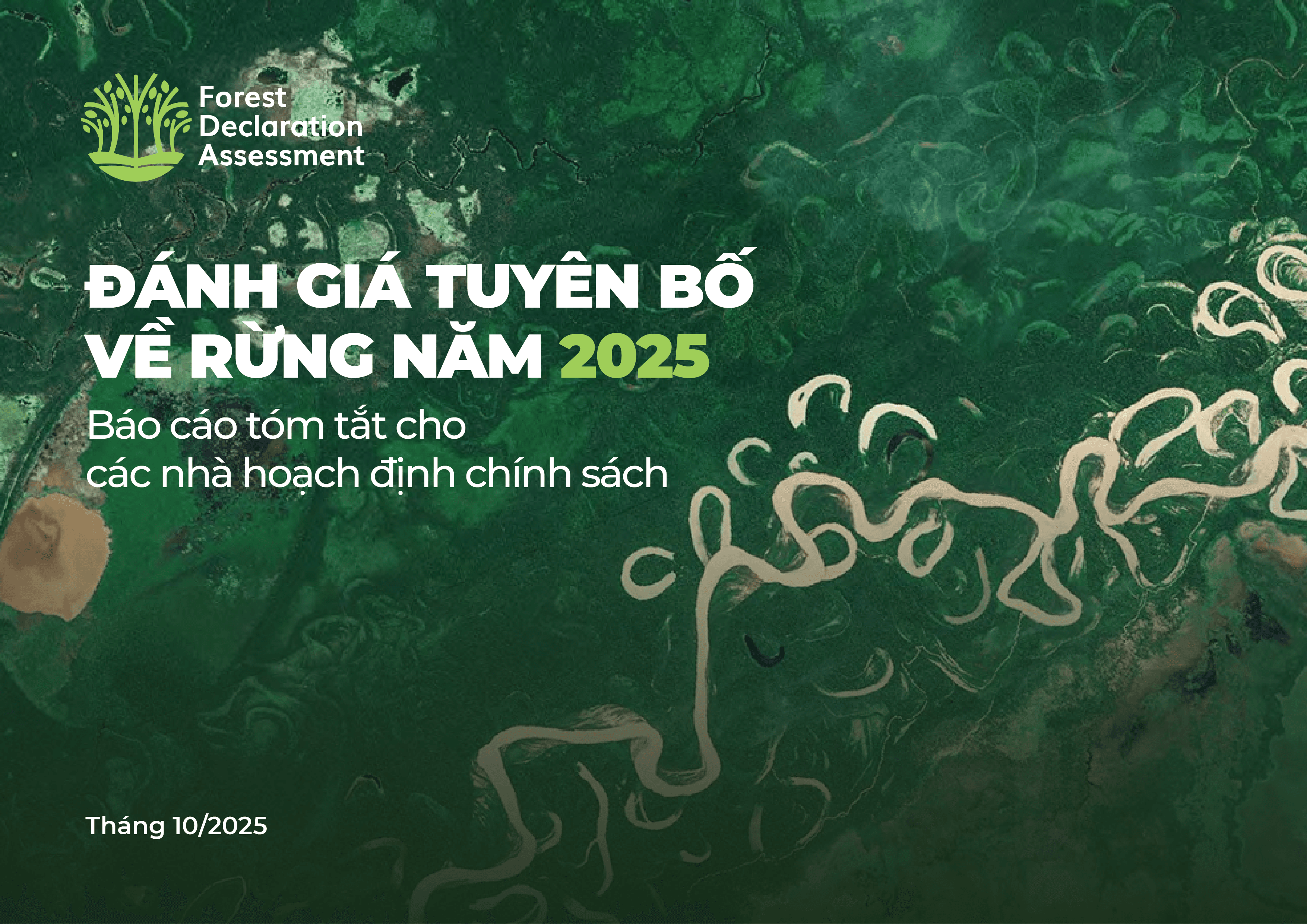 Đánh giá tuyên bố về rừng năm 2025: Báo cáo tóm tắt cho các nhà hoạch định chính sách (bản dịch)