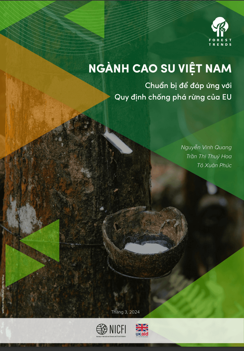 Báo cáo nghành cao su Việt Nam 2024