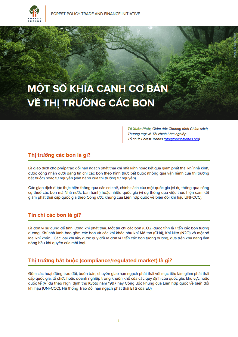 Một số khái niệm về thị trường các bon