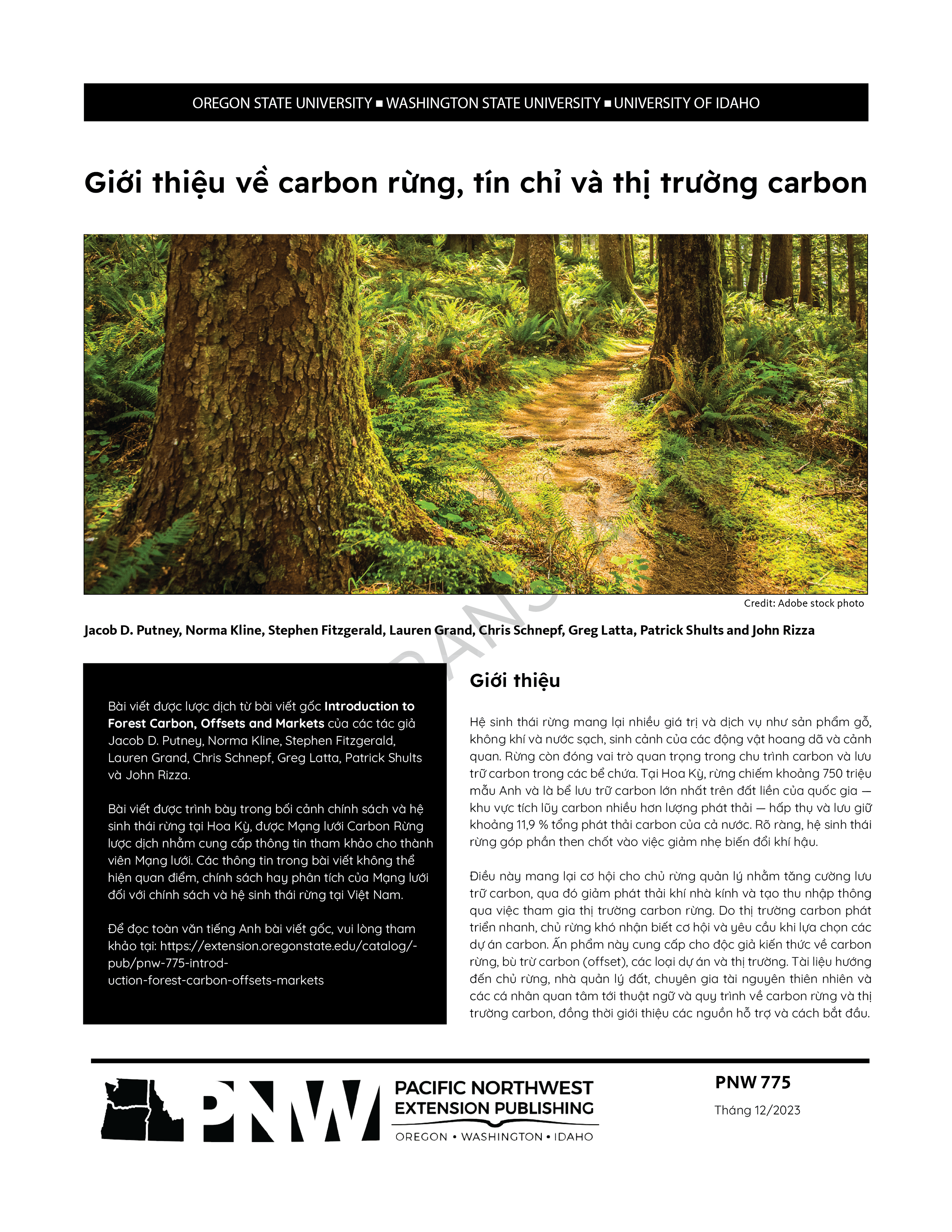 Giới thiệu về carbon rừng, tín chỉ và thị trường carbon