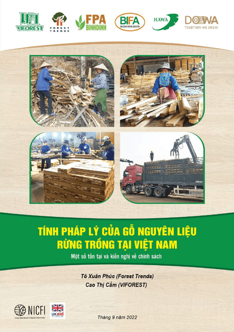 Tính pháp lý của gỗ rừng trồng Việt Nam