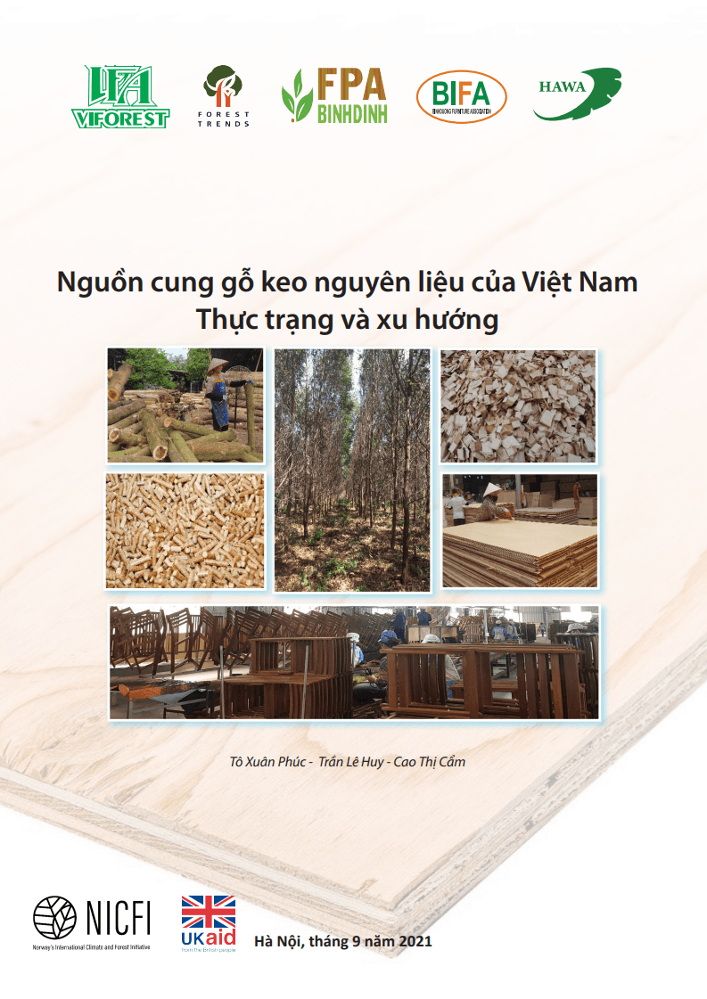 Nguồn cung gỗ keo nguyên liệu của Việt Nam