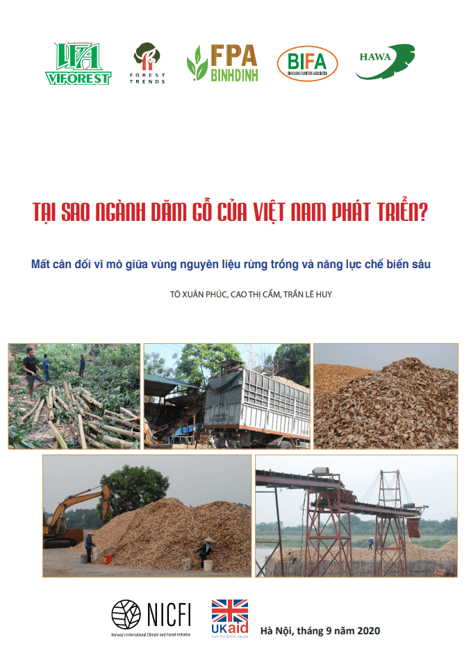 Tại sao ngành dăm gỗ của Việt Nam phát triển?