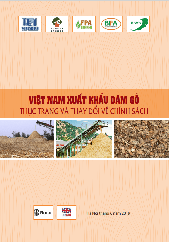 Việt Nam xuất khẩu dăm gỗ: thực trạng và thay đổi chính sách