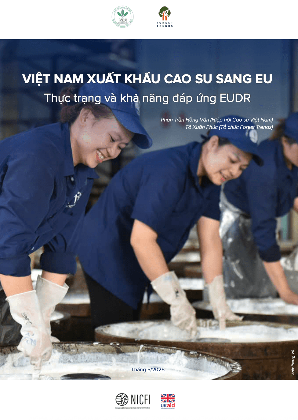 Việt Nam xuất khẩu cao su sang EU: Thực trạng và khả năng đáp ứng EUDR
