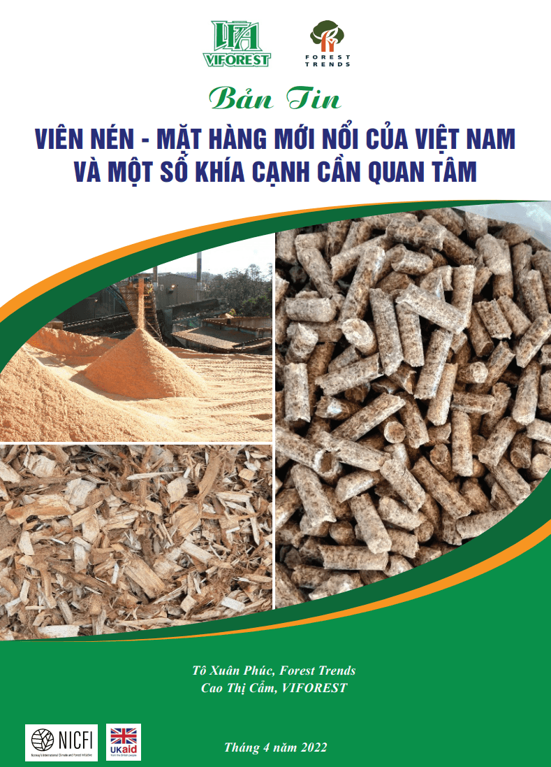 Viên nén – mặt hàng mới nổi của Việt Nam