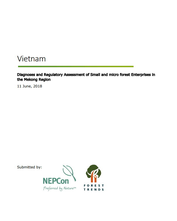 Diagnoses and regulatory assessment of SmEs in Vietnam