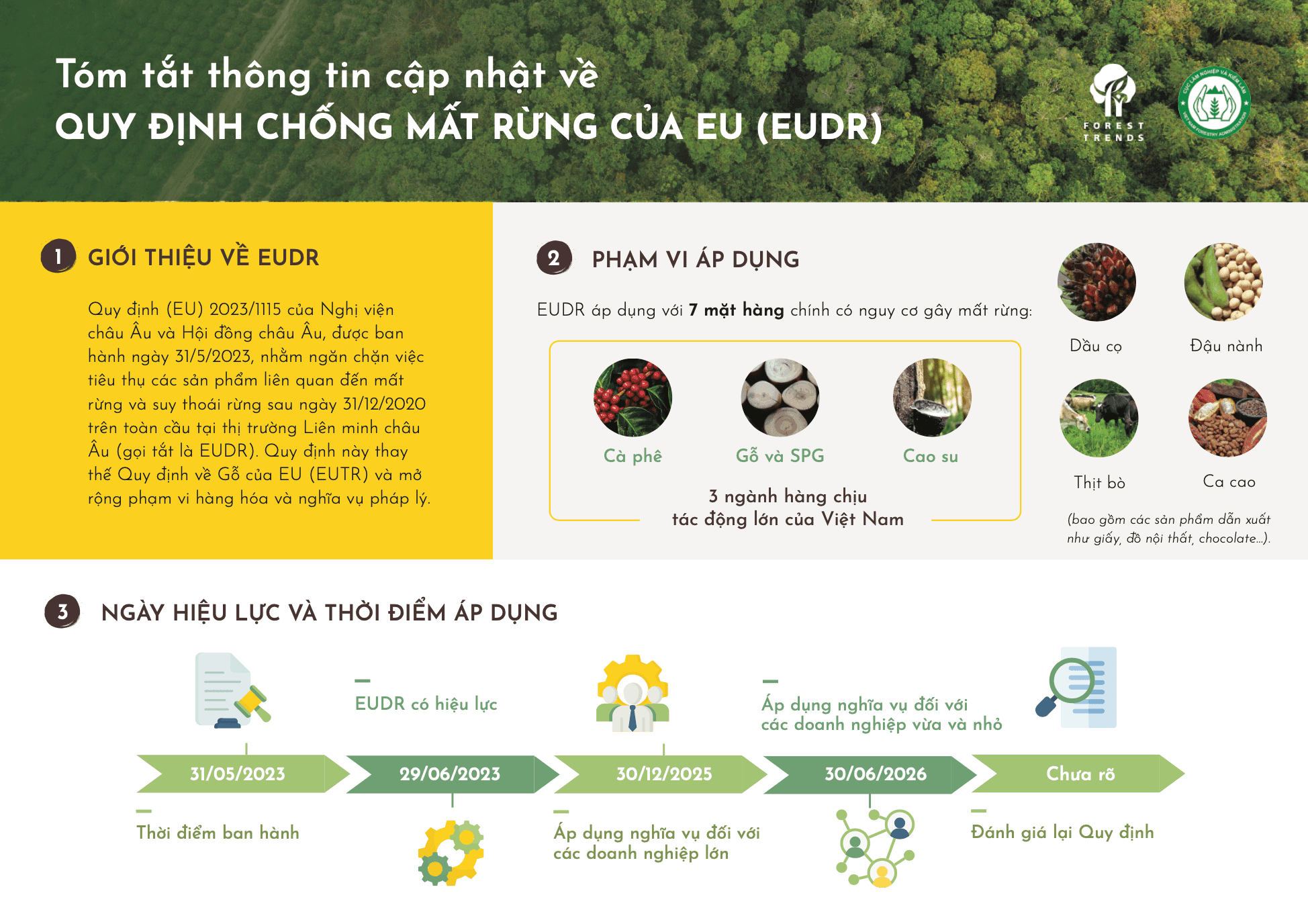 Tóm tắt thông tin cập nhật về Quy định chống mất rừng của EU (EUDR)