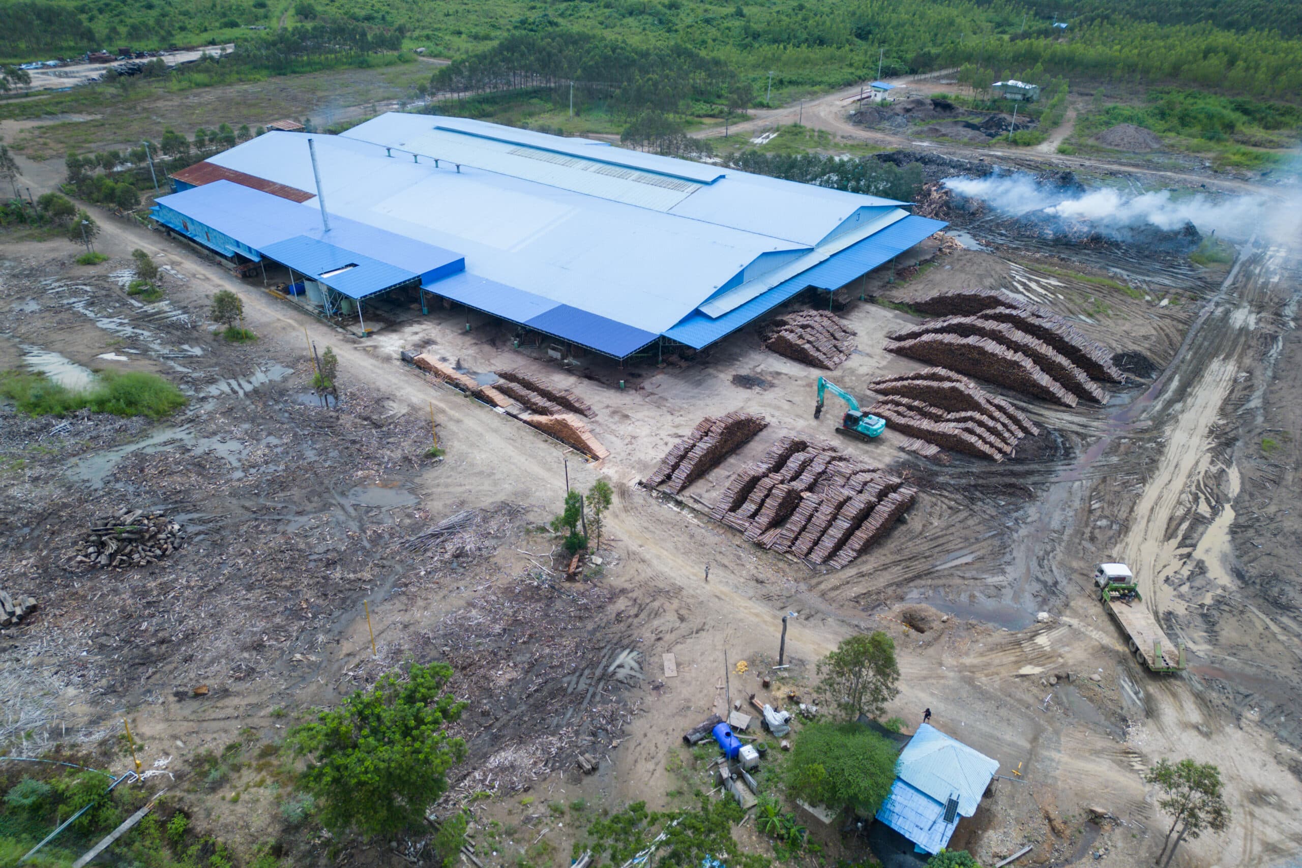 Suy giảm diện tích rừng tại tiểu vùng Mê Kông và tác động tới các khu bảo tồn