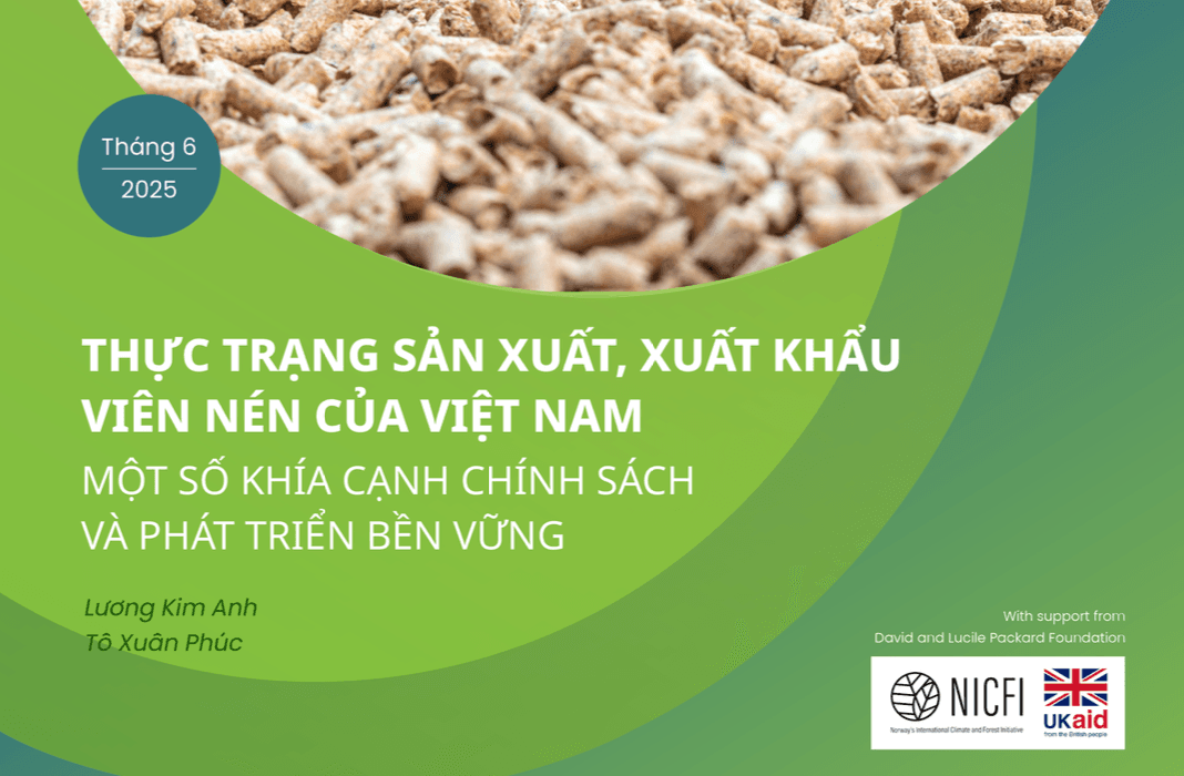 Thực trạng sản xuất, xuất khẩu viên nén của Việt Nam: Một số khía cạnh chính sách và phát triển bền vững