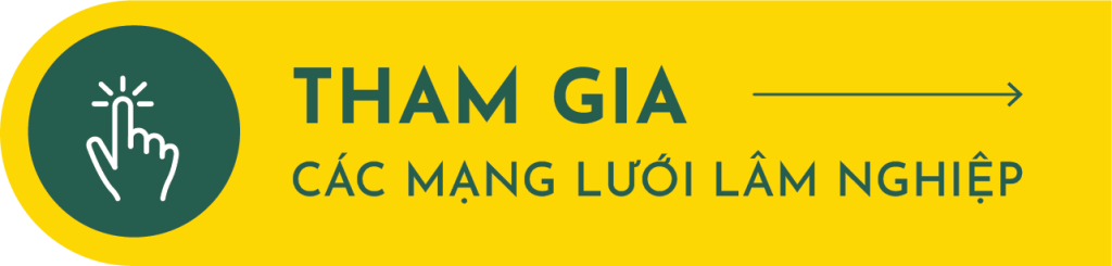Tham gia các mạng lưới lâm nghiệp