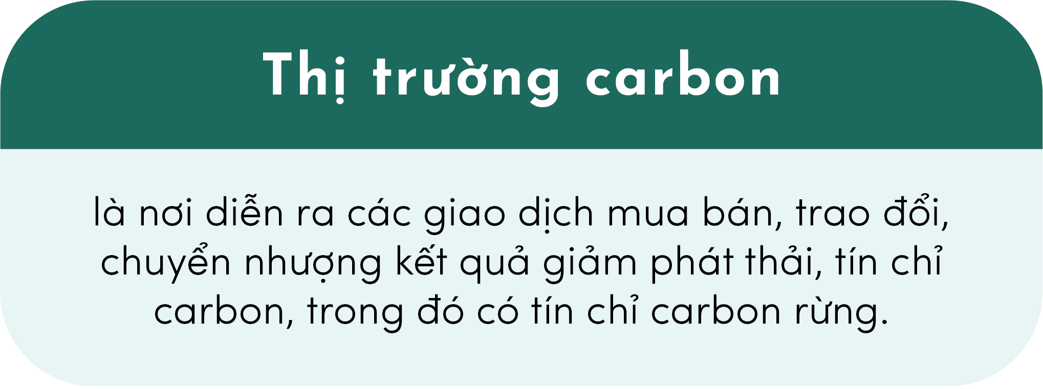 Carbon Market