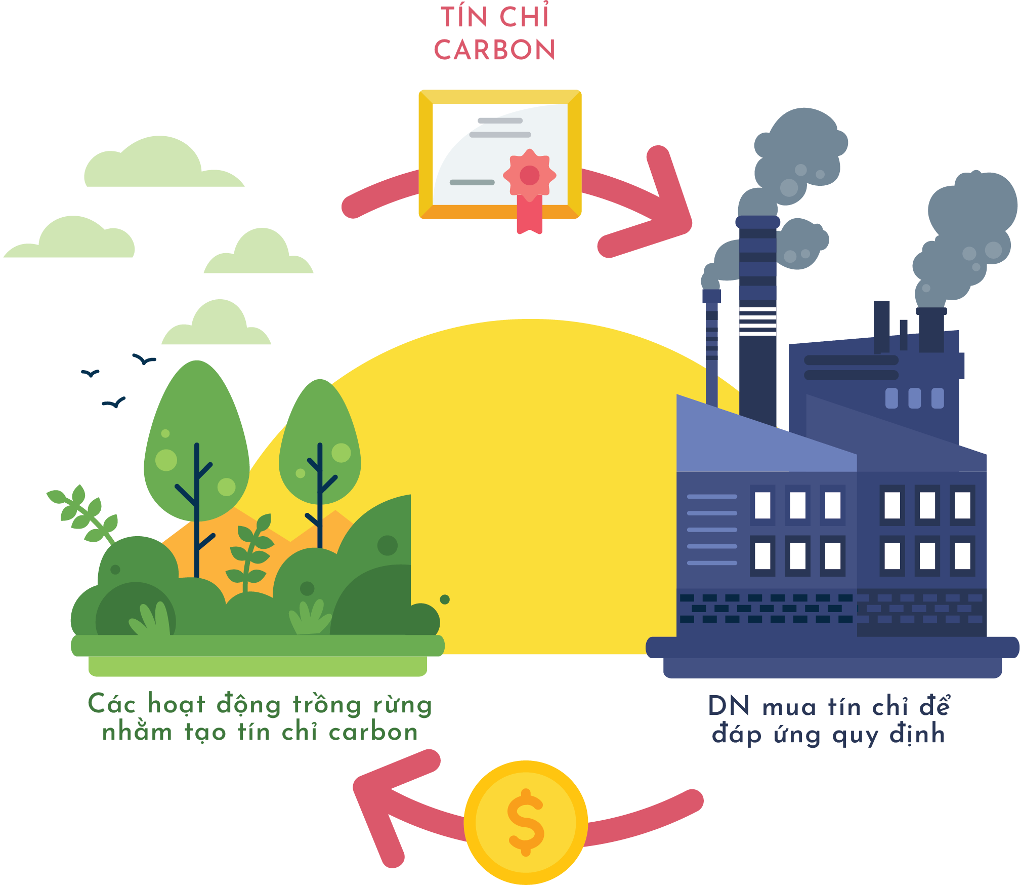 Credit Diagram